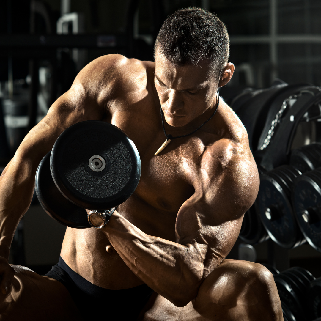 Benefícios da Creatina para o Desempenho Muscular